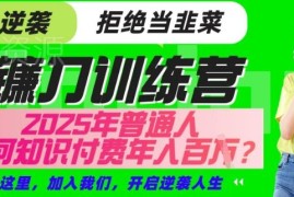 2025年普通人入局知识付费 靠卖项目实现年入百万实操指南