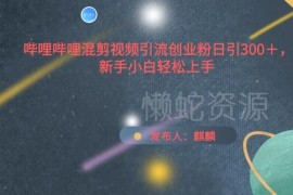 哔哩哔哩混剪引流创业粉玩法 新手可快速上手日引300+