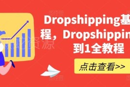 Dropshipping从0到1全流程教程 零基础建站选品运营实操指南