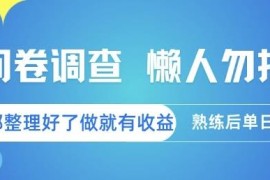 正规问卷调查副业怎么做？已整理好的问卷单价不等做就有收益