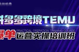 拼多多跨境TEMU运营实操教程 选品入驻爆单全流程攻略