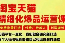 2025淘宝天猫爆品精细化运营 免费付费流量打法及利润提升指南