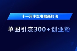 2024年11月小红书最新打法 单图引流300+创业粉实操教程