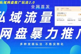 2024最新私域网盘拉新玩法2.0详解 多变现模式实现私域回流增收
