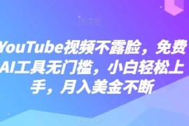 YouTube不露脸做视频赚美金实操 免费AI工具无门槛小白轻松上手