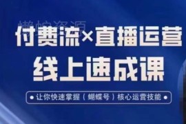视频号付费流与直播运营实操课 快速掌握核心运营技能