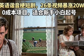 AI制作英语谐音梗短剧玩法 0成本新手短视频涨粉起号项目