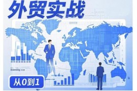 外贸询盘增长从0到1实战指南 全流程提升外贸业务能力