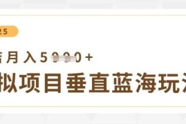 虚拟项目垂直玩法实操教程 低投入可实现单店月入5000+