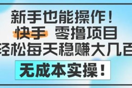 新手可操作的无成本快手零撸项目 空闲时间做日入200-500元