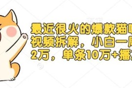 爆款猫咪做饭短视频玩法拆解 小白起号涨粉保姆级实操教程