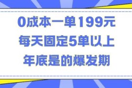0成本刚需品赚钱项目揭秘：一单199元 年底爆发日均5单以上