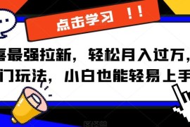 京喜拉新副业实操玩法拆解 小白易上手的低门槛赚钱项目教程