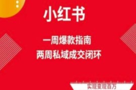 小红书免费流量体系实操课程 零基础学电商运营两周变现教程