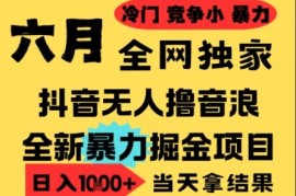 2025年6月最新抖音无人直播撸音浪项目 低门槛小白可做可批量矩阵