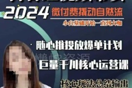 威威妈40节短视频带货千川课 零基础入门微付费撬动自然流
