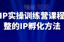 百万IP实操训练营全套课程 全链路IP孵化落地实操方法