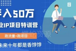 创业IP年入50W核心方法拆解 可长期运营的个人创业项目指南