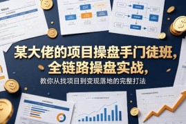 项目操盘手门徒班全链路课 从找项目到变现落地完整打法教学