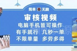无人售货机视频审核副业全攻略 低门槛易操作多劳多得