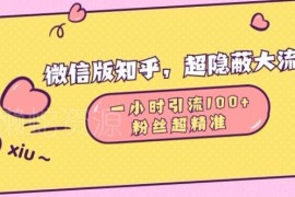 2024微信问一问引流实操 低门槛获取高精准高质量私域粉丝