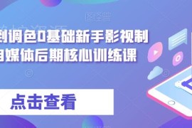 0基础达芬奇剪辑调色系统课 自媒体影视后期核心训练课程