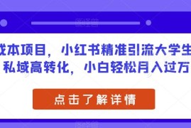 零成本小红书精准引流大学生 私域卖资料高转化副业教程