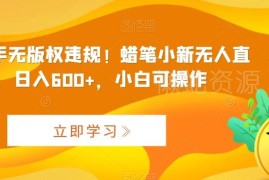 快手蜡笔小新无违规无人直播 磁力巨星小铃铛收益实操教程