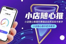 小店随心推微付费撬动自然流 投手从入门到精通实操教学