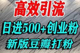 豆瓣引流精准创业粉实操教程 新手可稳定获取高意向付费流量