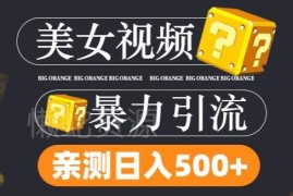 TK美女视频搬运去重分发玩法 日引300+男粉低风险变现教程