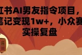 小红书AI男友指令项目实操复盘 单条笔记最高变现超1万元