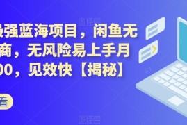 2023闲鱼无货源电商项目解析 零囤货低门槛副业操作指南