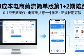 0成本无货源电商薅流两期陪跑教程 0基础无脑操作正规可长期做