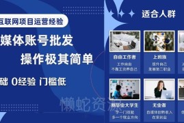 0基础可做的自媒体账号批发项目 低门槛盈利操作全指南