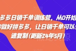 2024年6月更新拼多多运营教程 从0打造可复制日销千单店铺