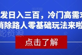 2024适合普通人的零基础冷门高需求消除路人玩法 稳定日入300