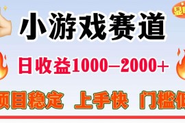 2025不露脸直播小游戏变现项目 低门槛稳定可长期操作