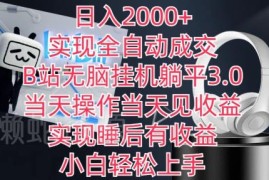 B站全自动成交挂机3.0操作教程 可实现日入2000睡后收益
