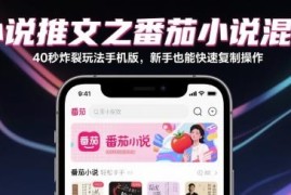 番茄小说40秒混剪推文玩法教程 新手可快速复制手机端操作