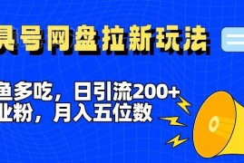 全平台工具号一鱼多吃玩法 引流创业粉兼网盘拉新月入过万教程