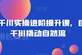 巨量千川实操进阶教程 付费投放撬动自然流提升直播间投产比