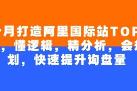 阿里国际站TOP店铺打造教程 4个月掌握逻辑规划快速提升询盘量