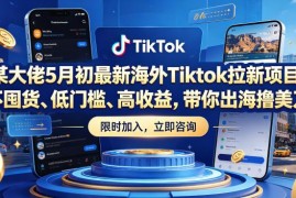 2024年5月最新海外TikTok拉新项目 低门槛无需囤货赚佣金