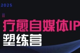 2025治愈自媒体IP训练营 疗愈领域从业者IP打造变现实操课程