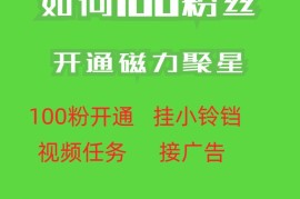 快手100粉丝开通磁力聚星方法 低门槛秒开操作指南