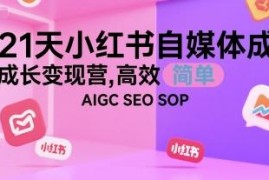21天小红书自媒体成长变现营 AIGC+SEO运营SOP全流程教学