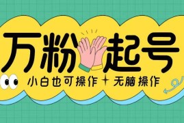 2024全网通用低门槛涨粉起号教程 小白易上手2天起千粉可变现