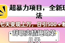美女辞职卖情趣用品短视频玩法拆解 7天变现过万运营技巧揭秘