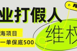 职业打假电商维权项目全揭秘 低门槛副业一单保底收益500